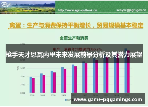 枪手天才恩瓦内里未来发展前景分析及其潜力展望