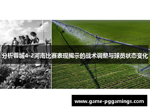 分析蓉城4-2河南比赛表现揭示的战术调整与球员状态变化