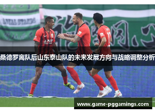 桑德罗离队后山东泰山队的未来发展方向与战略调整分析