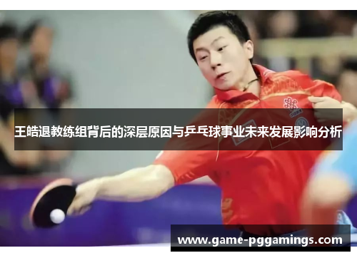 王皓退教练组背后的深层原因与乒乓球事业未来发展影响分析