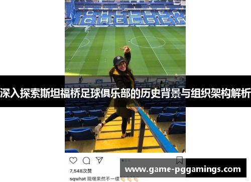深入探索斯坦福桥足球俱乐部的历史背景与组织架构解析
